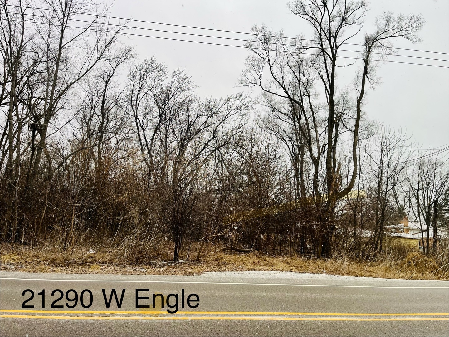 21290 W Engle Drive, Lake Villa, IL