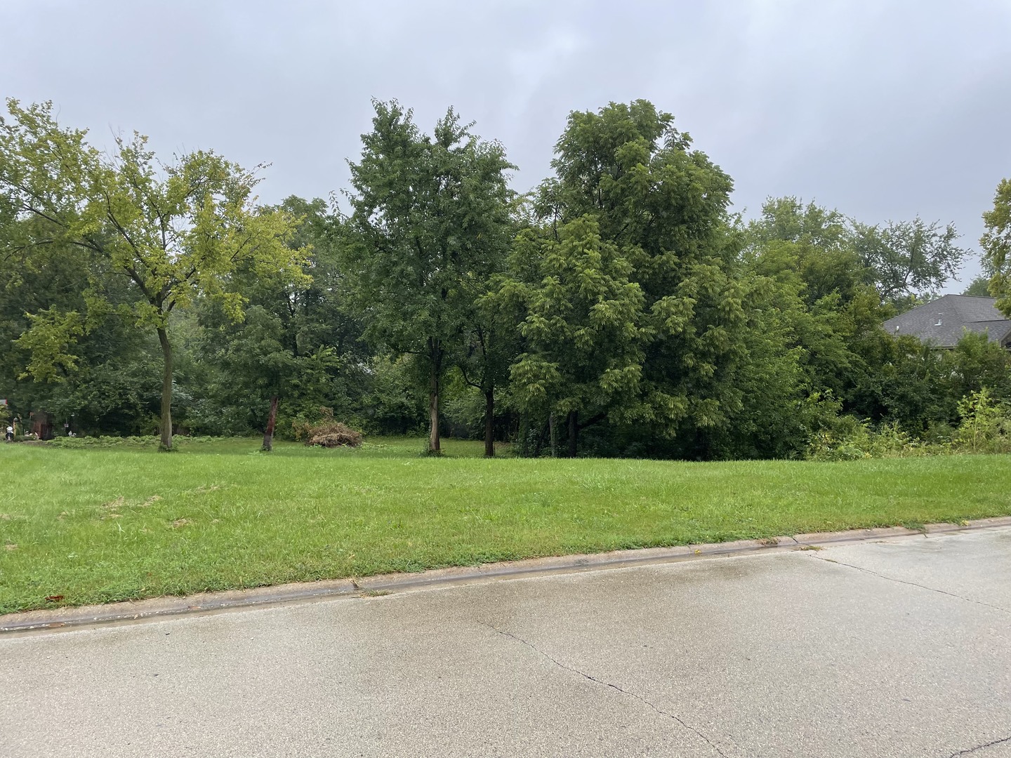 109 Creekside Drive, Elwood, IL