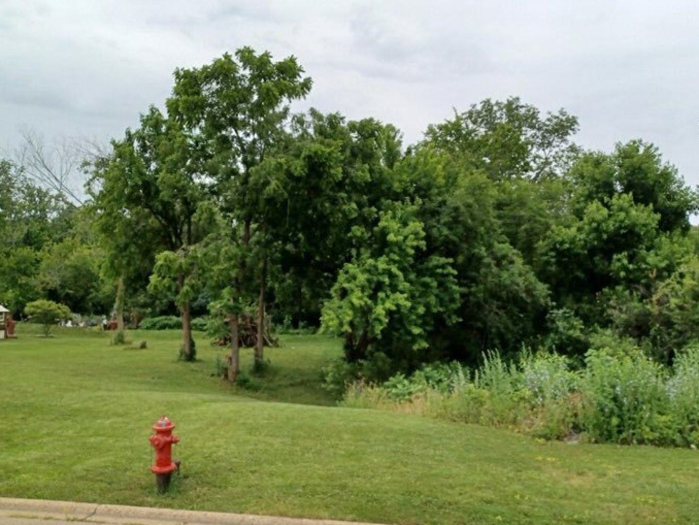 109 Creekside Drive, Elwood, IL