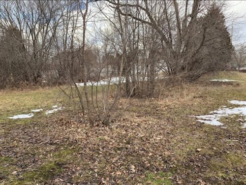 Anita Avenue, Antioch, IL