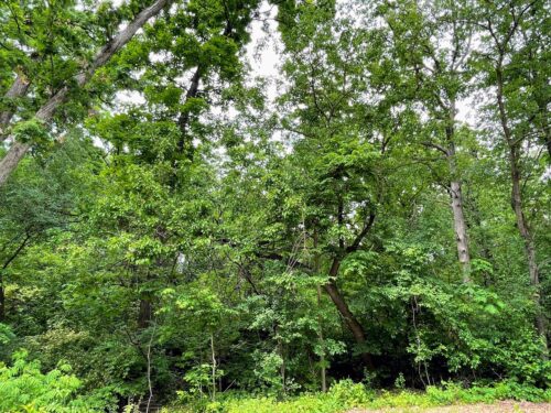7408 Forest Oak Drive, McHenry, IL