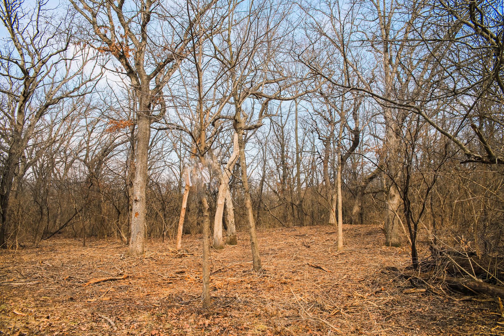 802 Echo (Lot 23) Trail, Marengo, IL