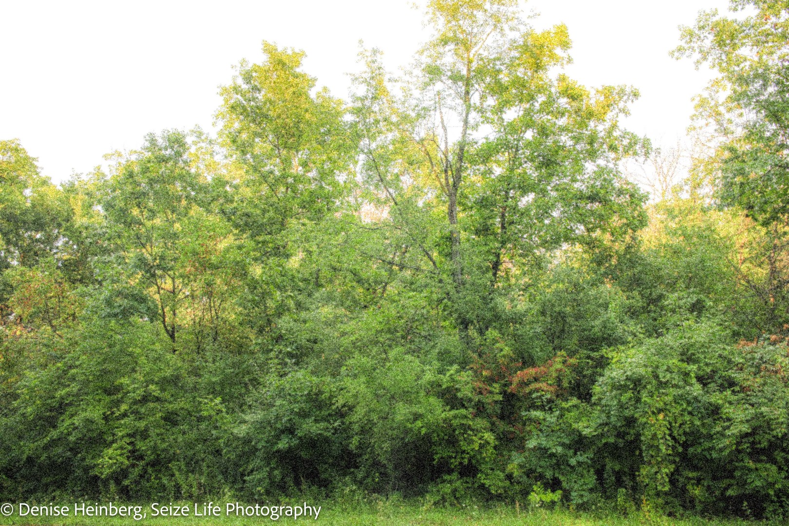 802 Echo (Lot 23) Trail, Marengo, IL