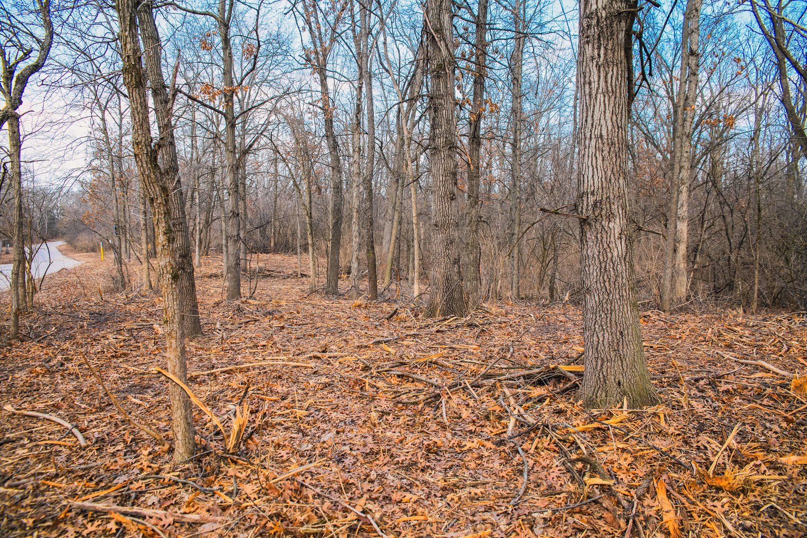 806 Echo (Lot 22) Trail, Marengo, IL