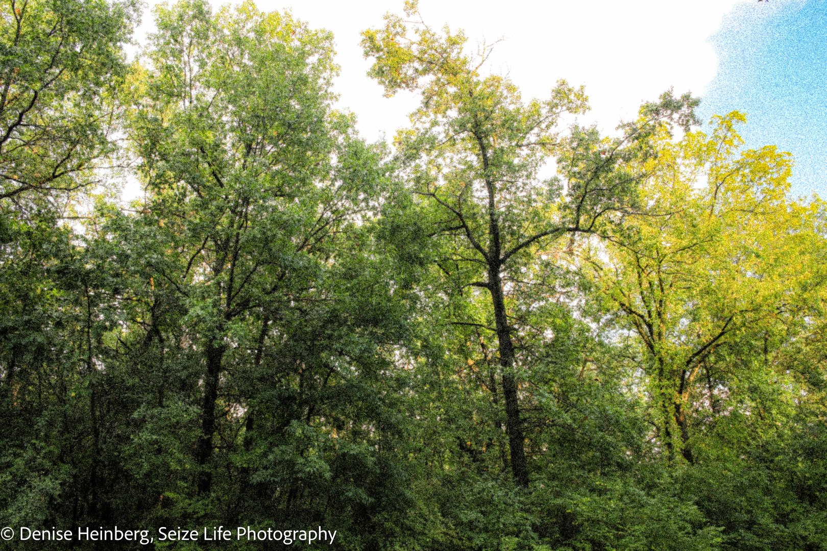 806 Echo (Lot 22) Trail, Marengo, IL