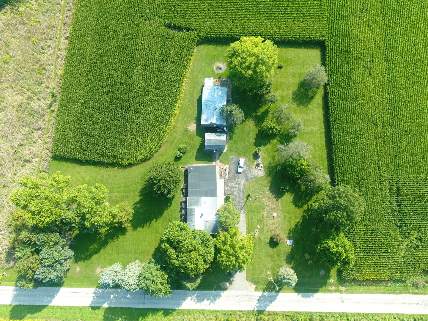 12454 Cracker Road, Farmer City, IL