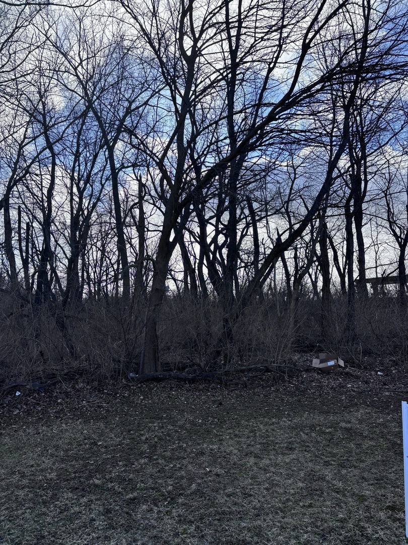 1859 Erin Lane, Morris, IL