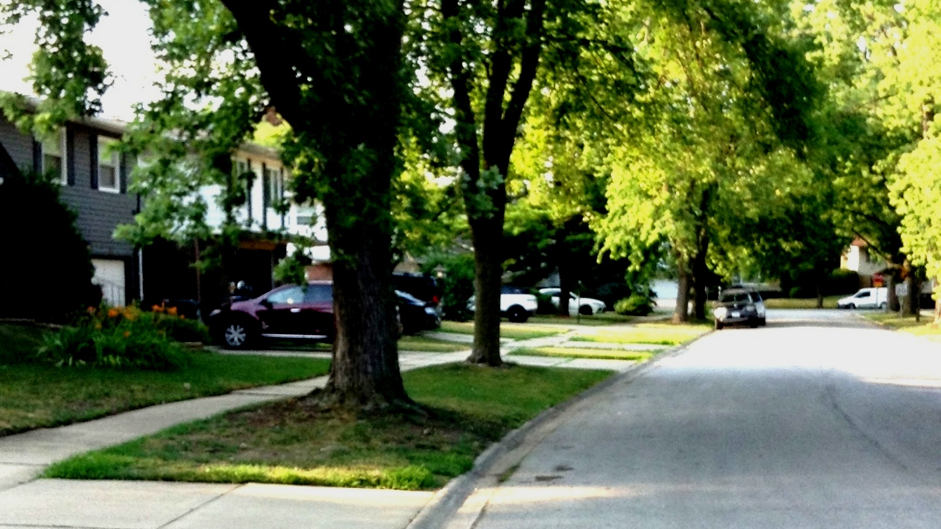 511 N Kenneth Court, Glenwood, IL
