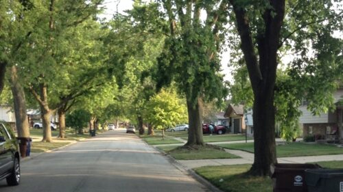 511 N Kenneth Court, Glenwood, IL