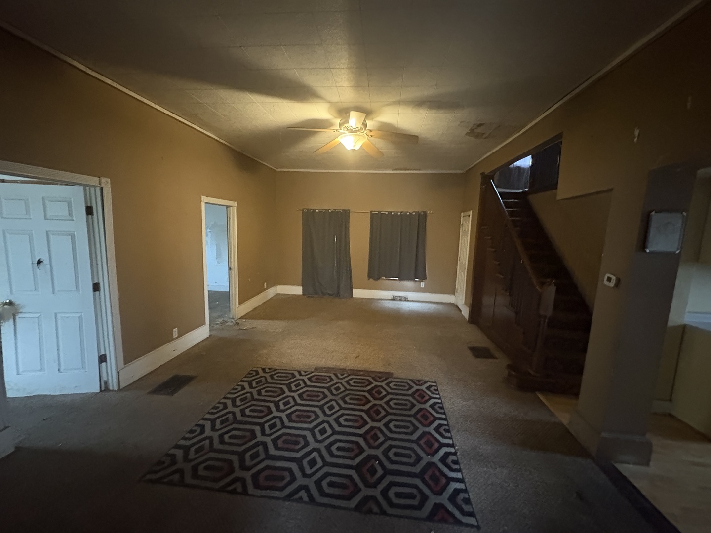158 S Railroad Street, Braidwood, IL