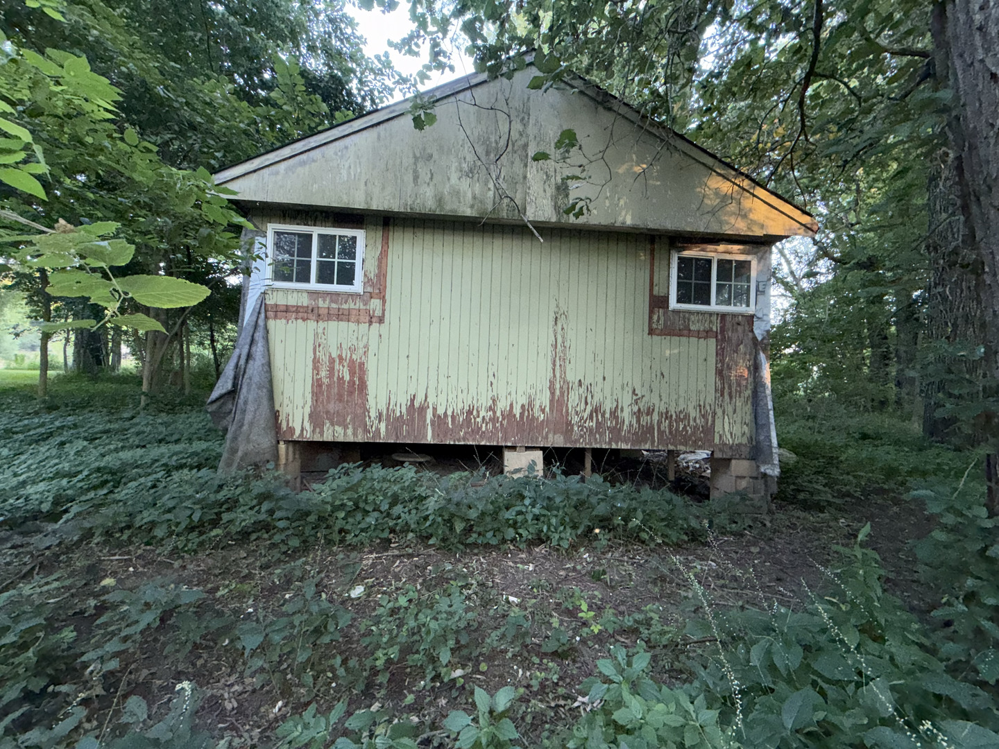 9 Maple Island Street, Momence, IL
