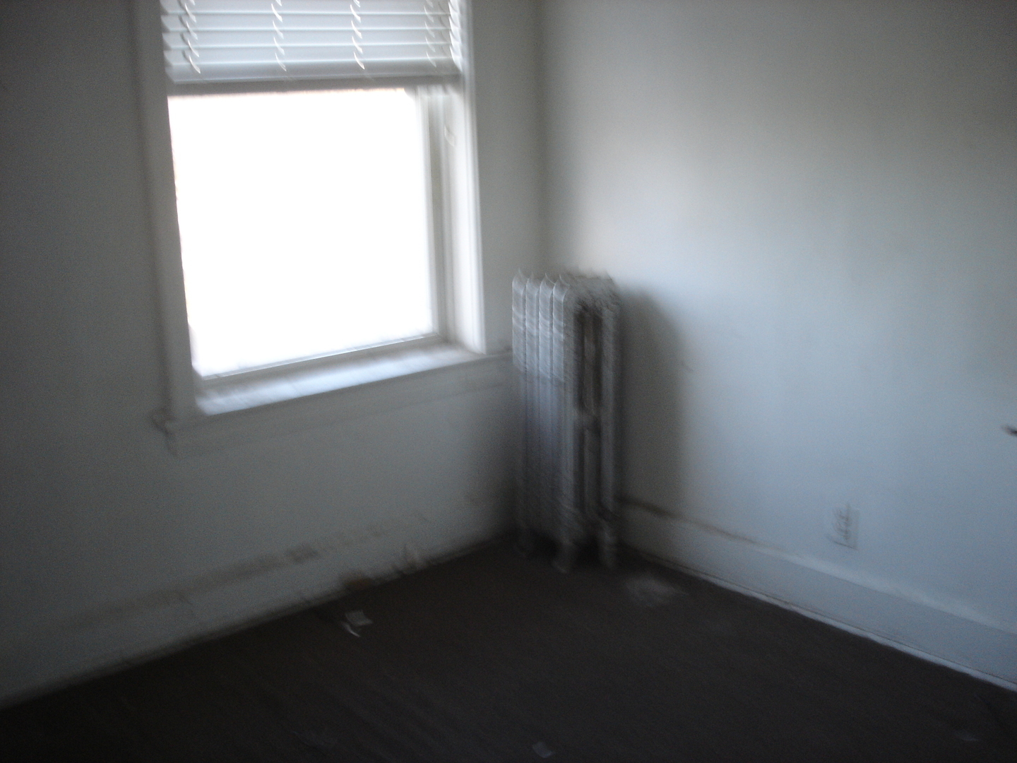 731 E 50th Street, Chicago, IL