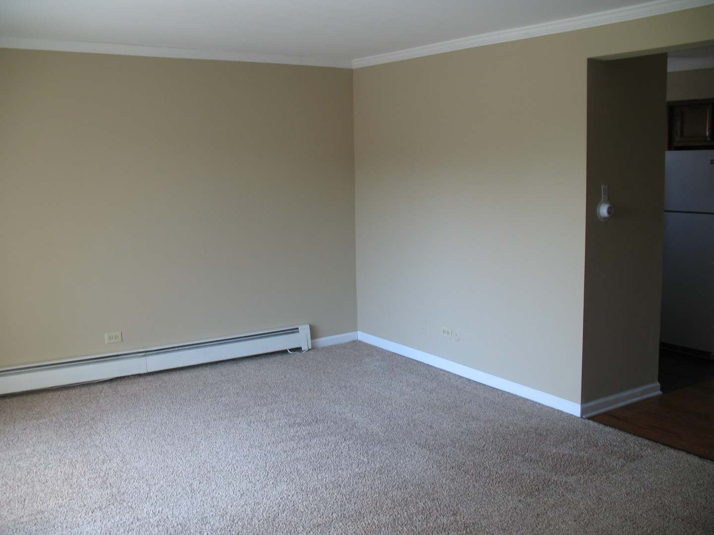 709 W 65TH Street #5, Westmont, IL