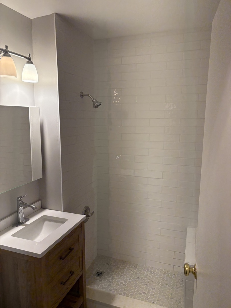 20 E Goethe Street #404, Chicago, IL