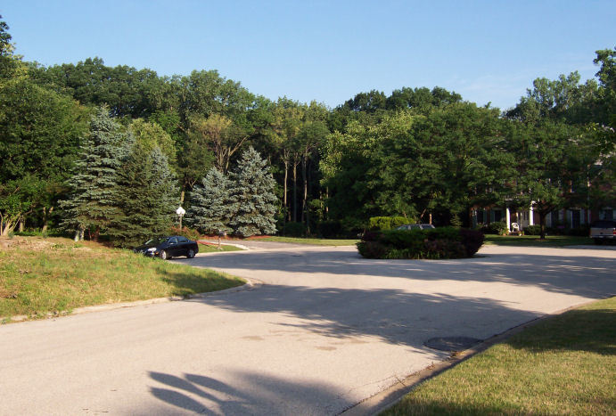 17220 Oak Meadow #5 Oak Meadow Court Court, Homer Glen, IL