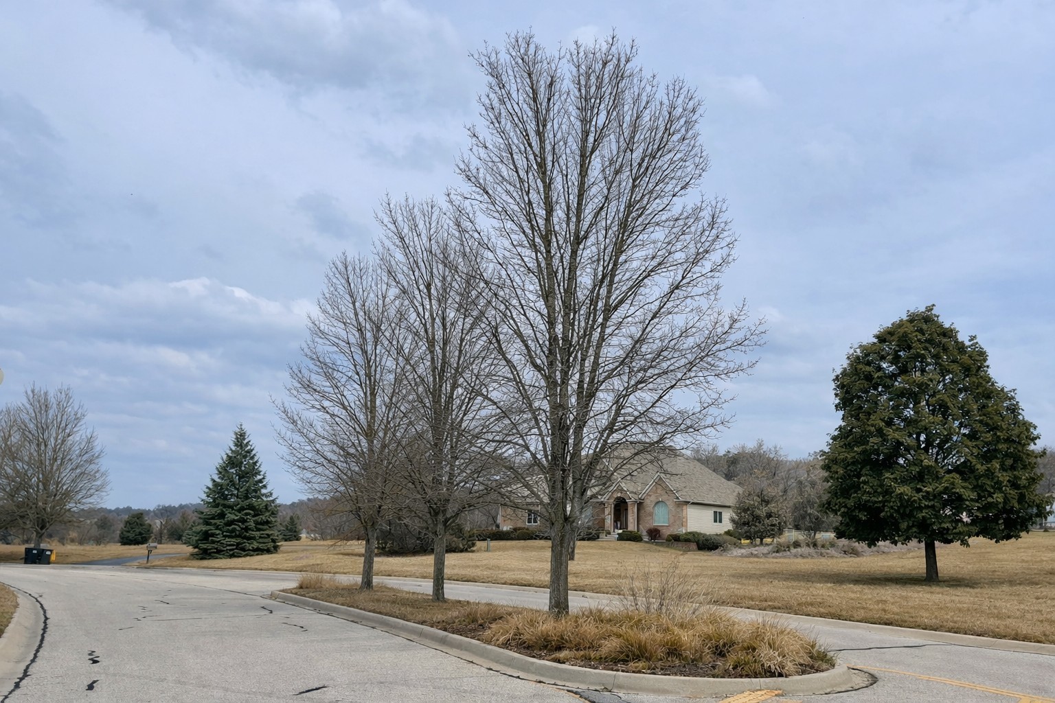 1852 Red Oak Lane, Spring Grove, IL