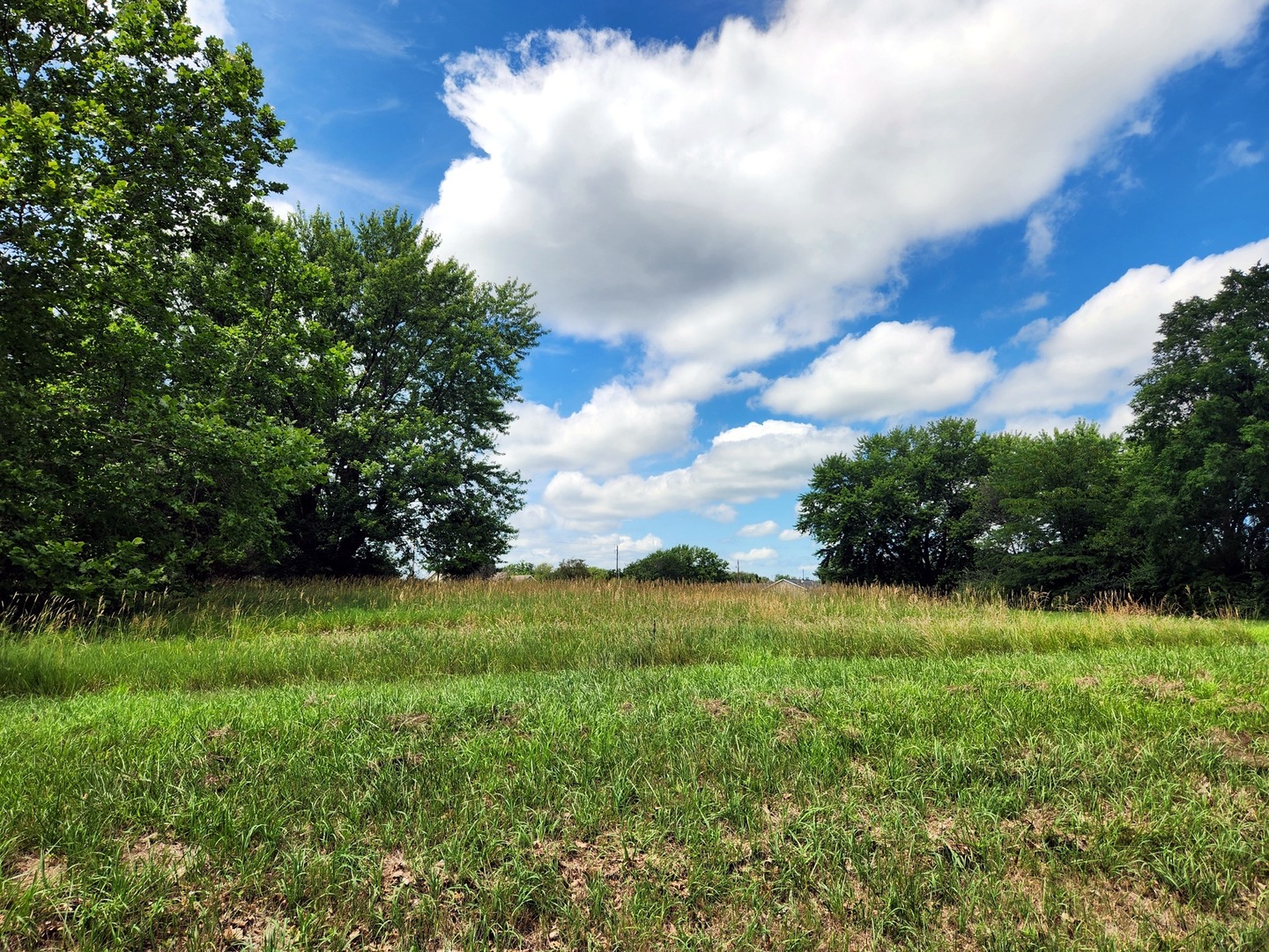 481 Earl Miller Drive, Varna, IL
