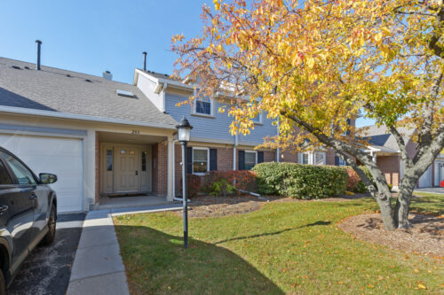 204 Dublin Lane #W2, Schaumburg, IL