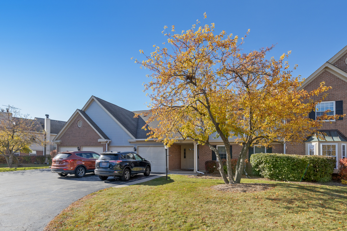 204 Dublin Lane #W2, Schaumburg, IL