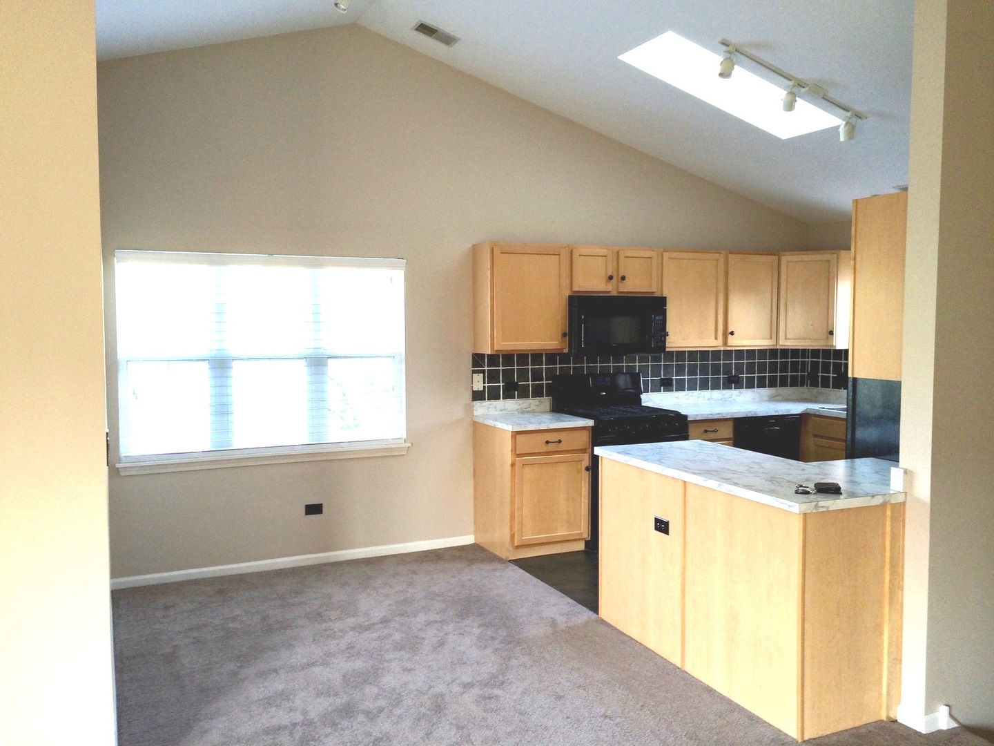 2919 Rutland Circle #201, Naperville, IL