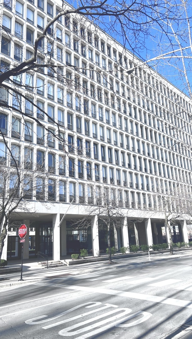 1450 E 55th Place #518S, Chicago, IL