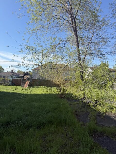 8205 W Ballard Road, Niles, IL