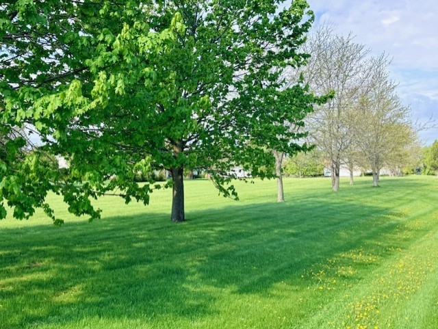 4702 Patty Lane, Ringwood, IL