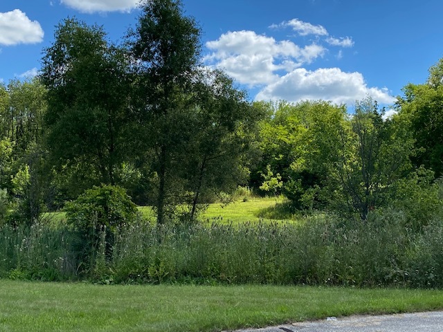 4223 Northgate Drive, Spring Grove, IL