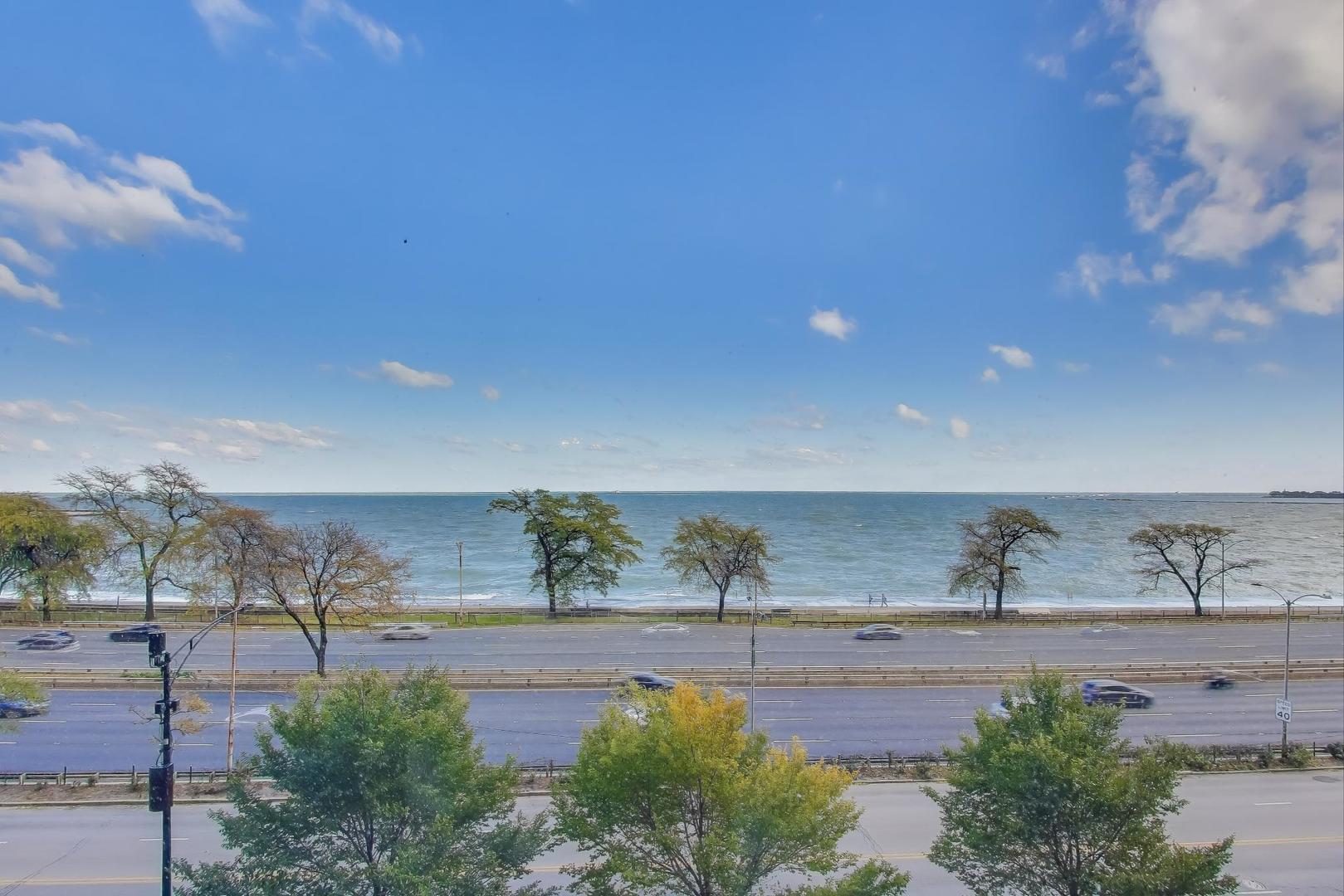 1440 N Lake Shore Drive #5D, Chicago, IL