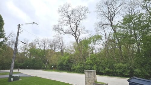 11225 S Kean Avenue #1A, Palos Hills, IL