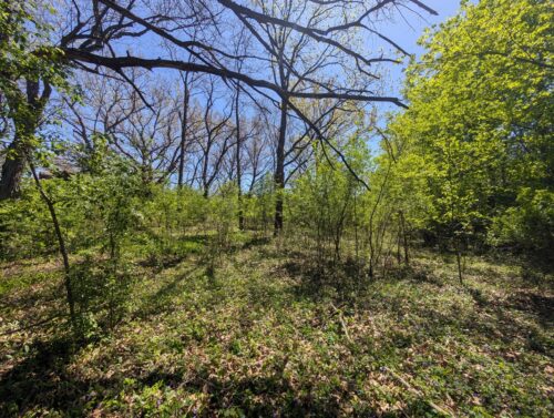 14555 Greenland Avenue, Orland Park, IL