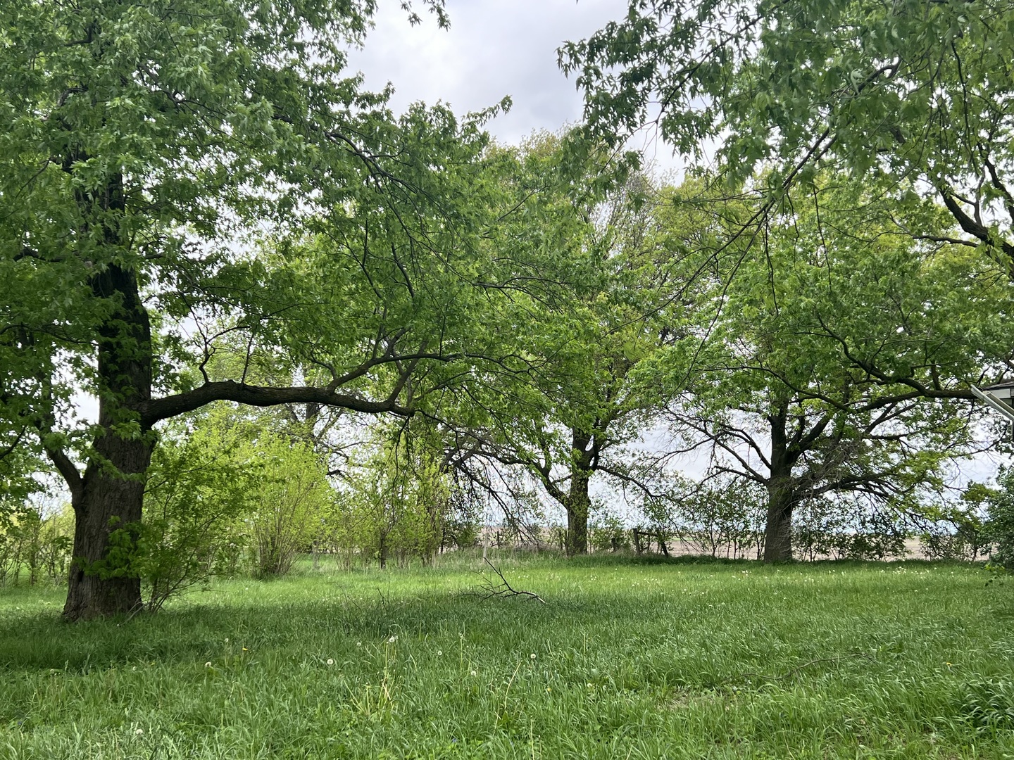 7054 E 4300 Road, Rankin, IL