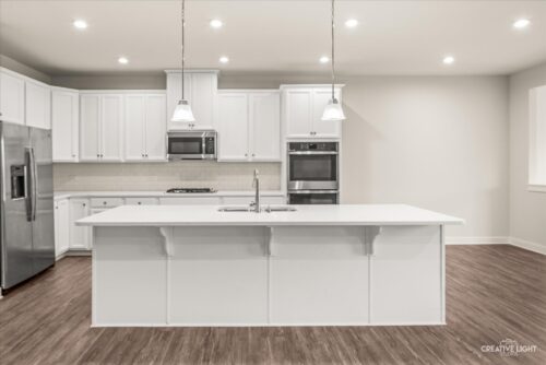 1869 Glenlake Court, New Lenox, IL