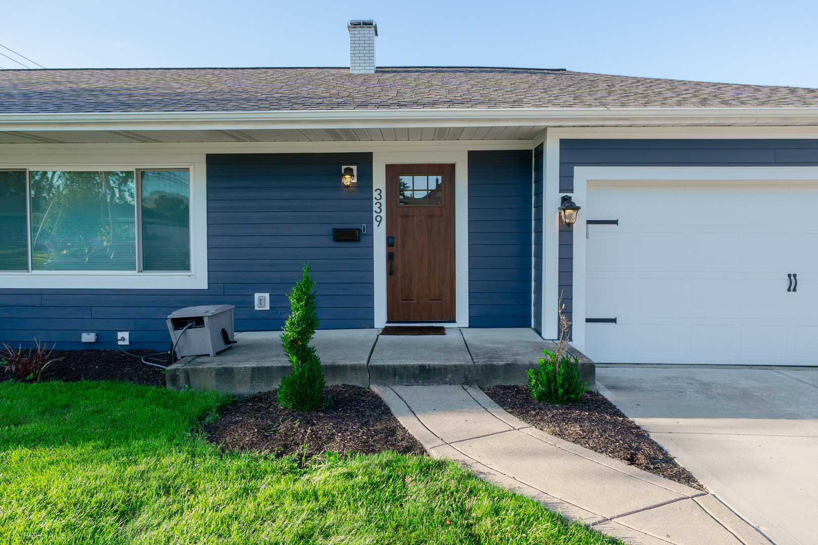 339 Lincoln Avenue, Downers Grove, IL