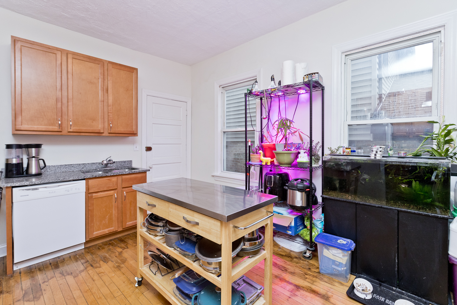 3841 N Bernard Street #1F, Chicago, IL