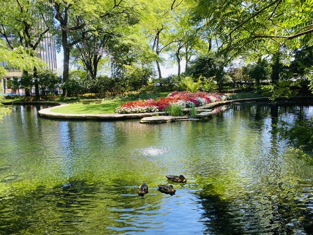505 N Lake Shore Drive #2017, Chicago, IL