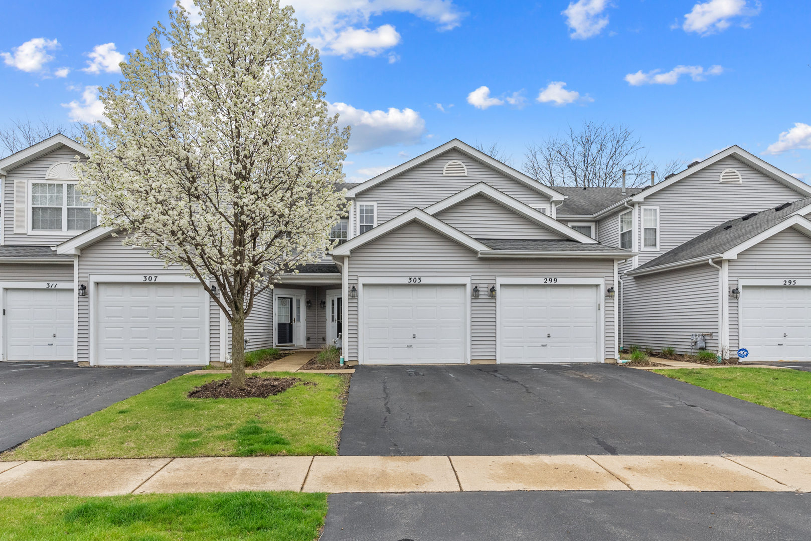 303 Glen Leven Court #303, Schaumburg, IL