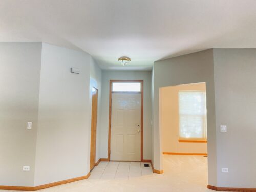 13520 S Buckthorn Lane, Plainfield, IL