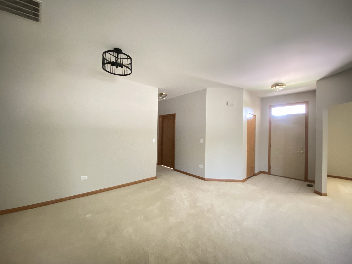 13520 S Buckthorn Lane, Plainfield, IL