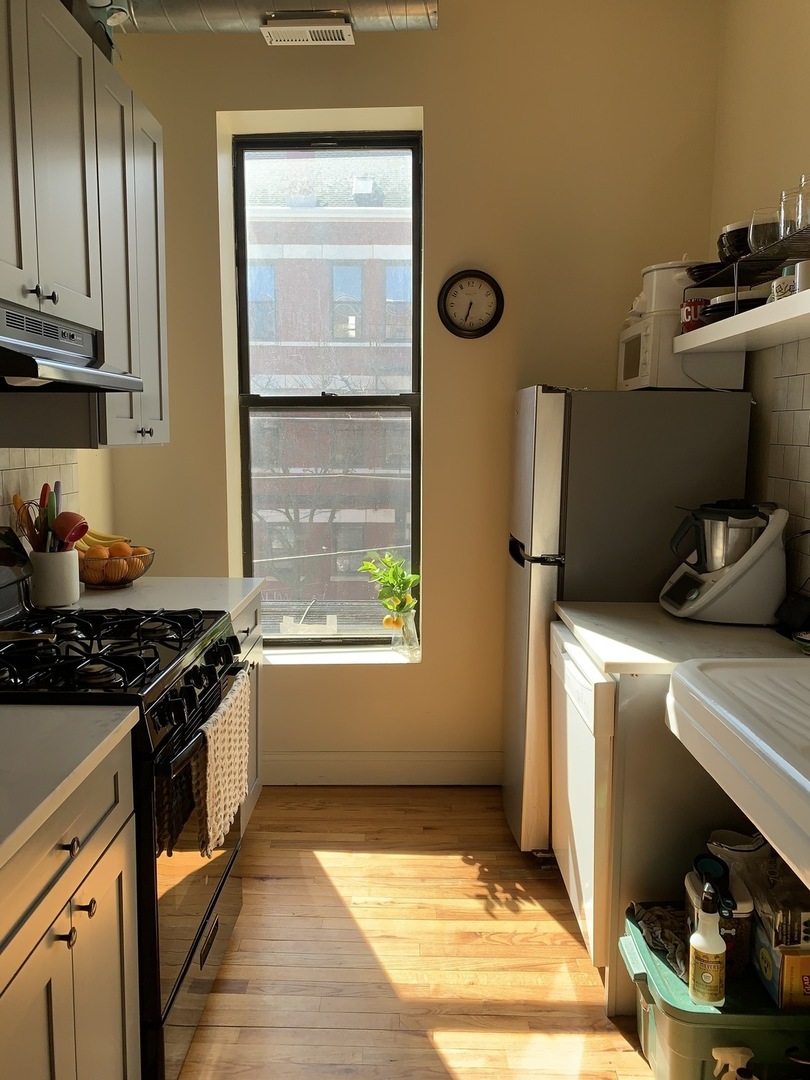 1843 S Racine Avenue #2R, Chicago, IL