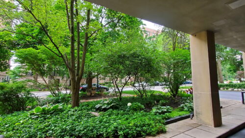 1516 Hinman Avenue #308, Evanston, IL