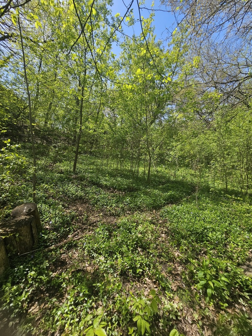 38581 N Hillandale Drive, Spring Grove, IL
