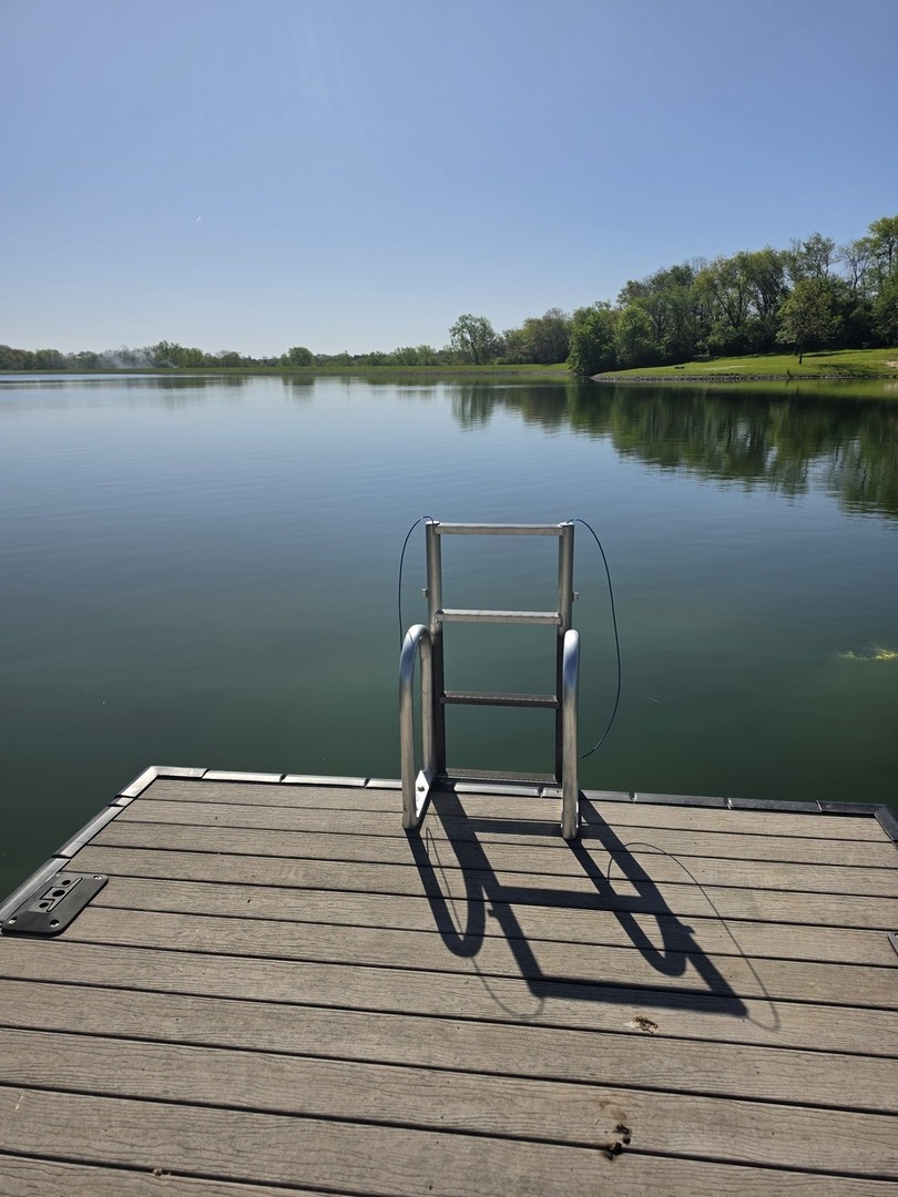 3111 Buena Vista Court, Sherrard, IL