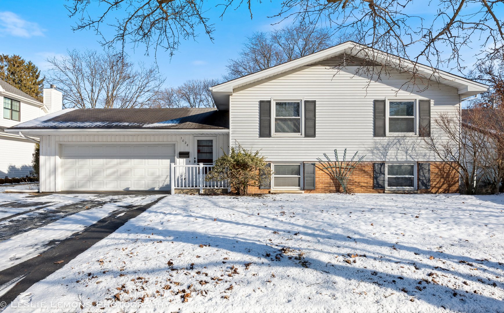 1028 Douglas Avenue, Naperville, IL