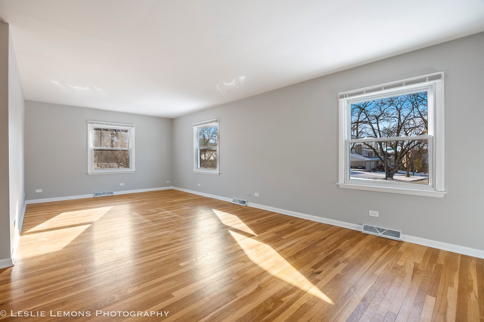 1028 Douglas Avenue, Naperville, IL