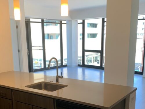 847 CHICAGO Avenue #601, Evanston, IL