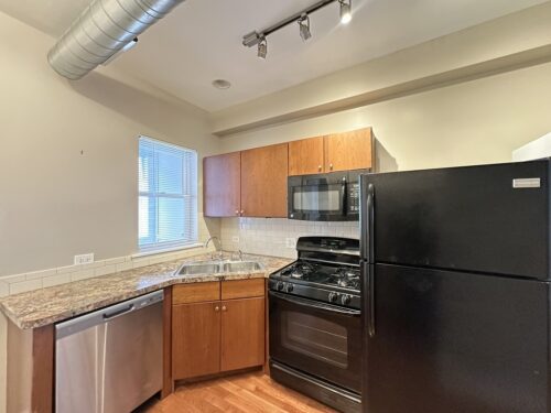 674 N Orleans Street #2, Chicago, IL