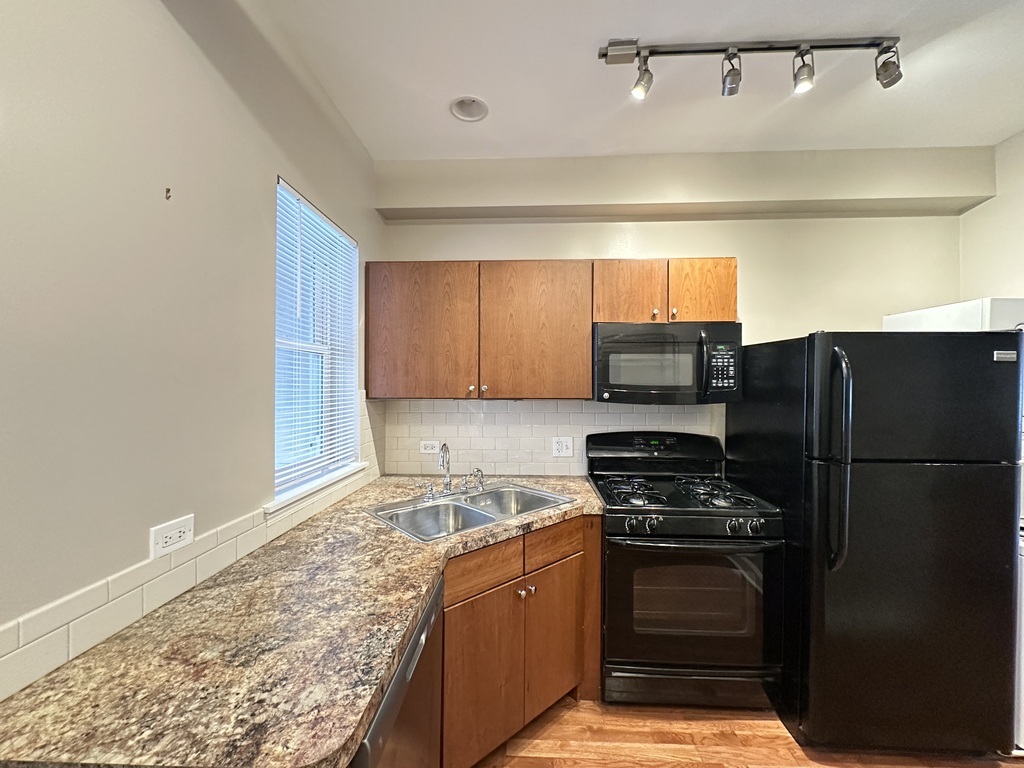 674 N Orleans Street #2, Chicago, IL