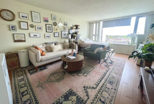 2728 N Hampden Court #1108, Chicago, IL