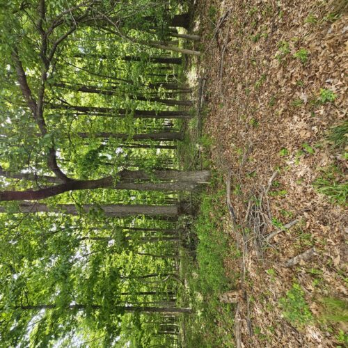 4147 Richview Road, Mt Vernon, IL